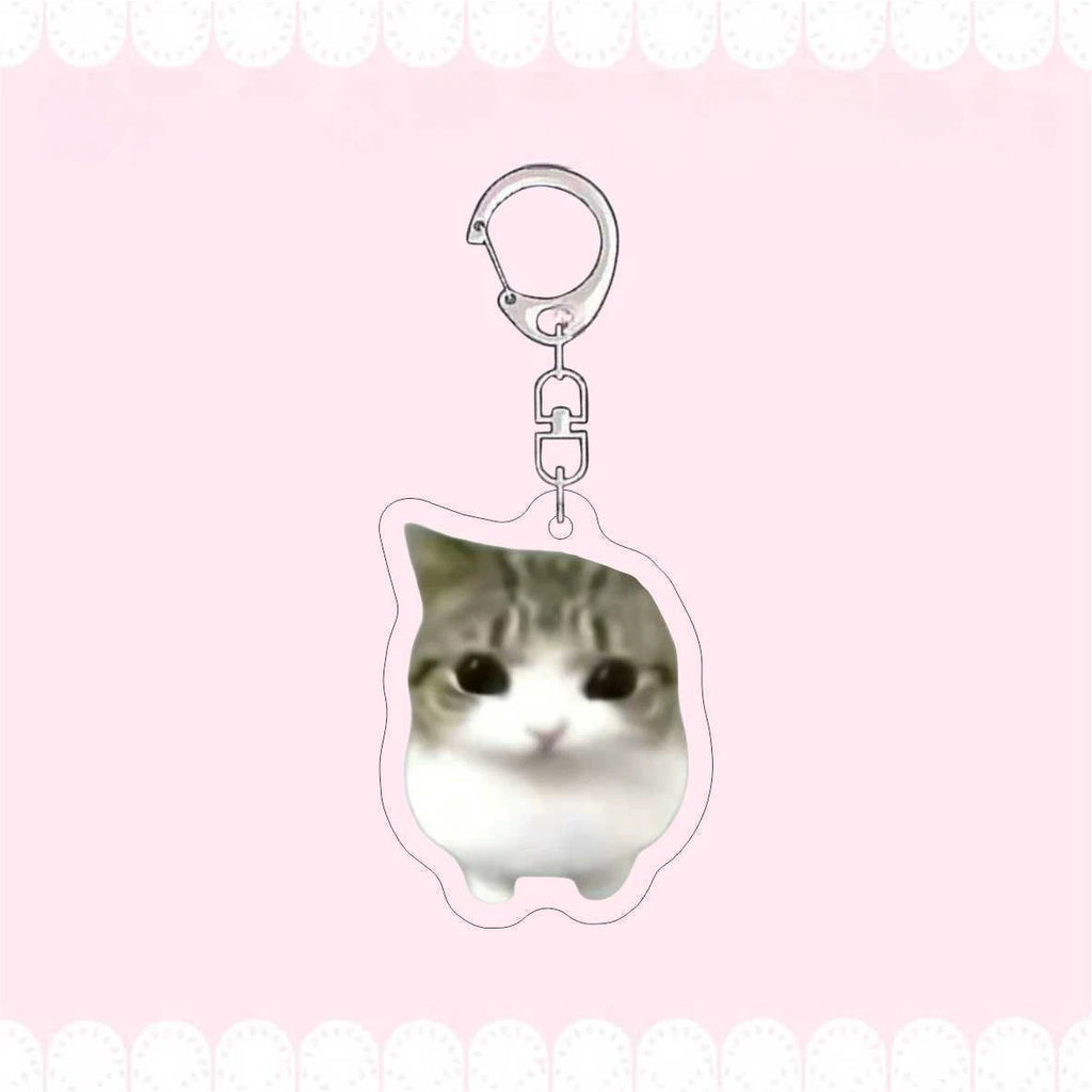 Crispy Triangle Cat Meme Keychain
