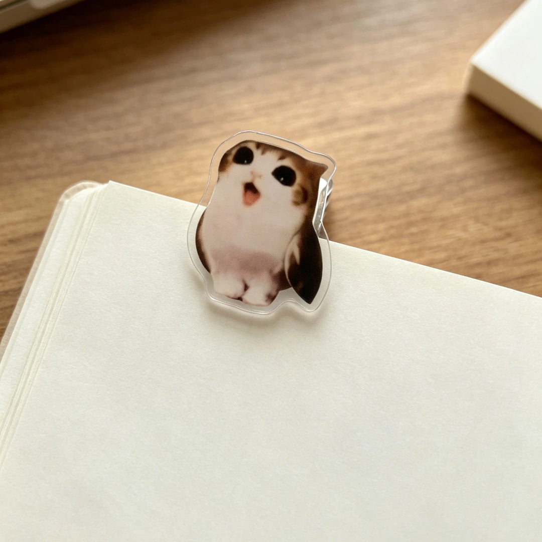 Meowl Series File Folders (Set of 4)