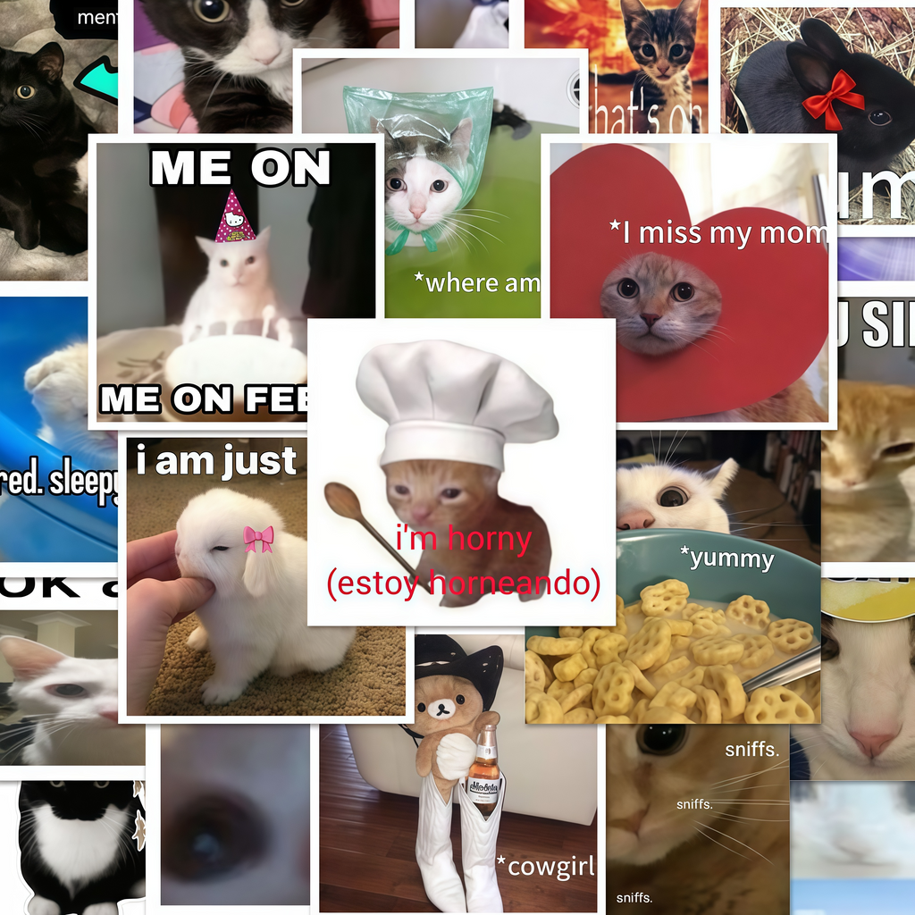62 funny cat stickers
