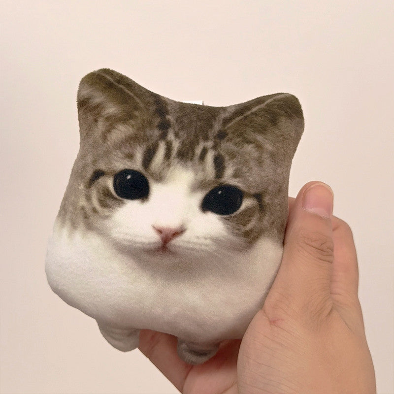 OMG Meowl