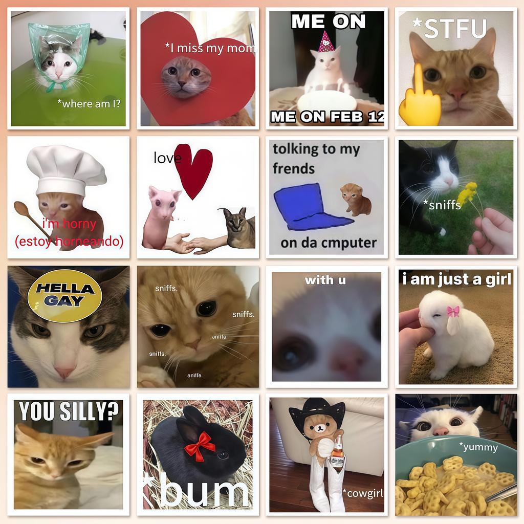 62 funny cat stickers