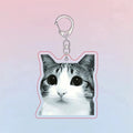 Meowl Series 3 Keychains