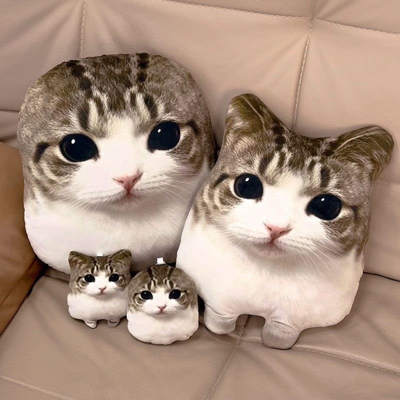 OMG Meowl