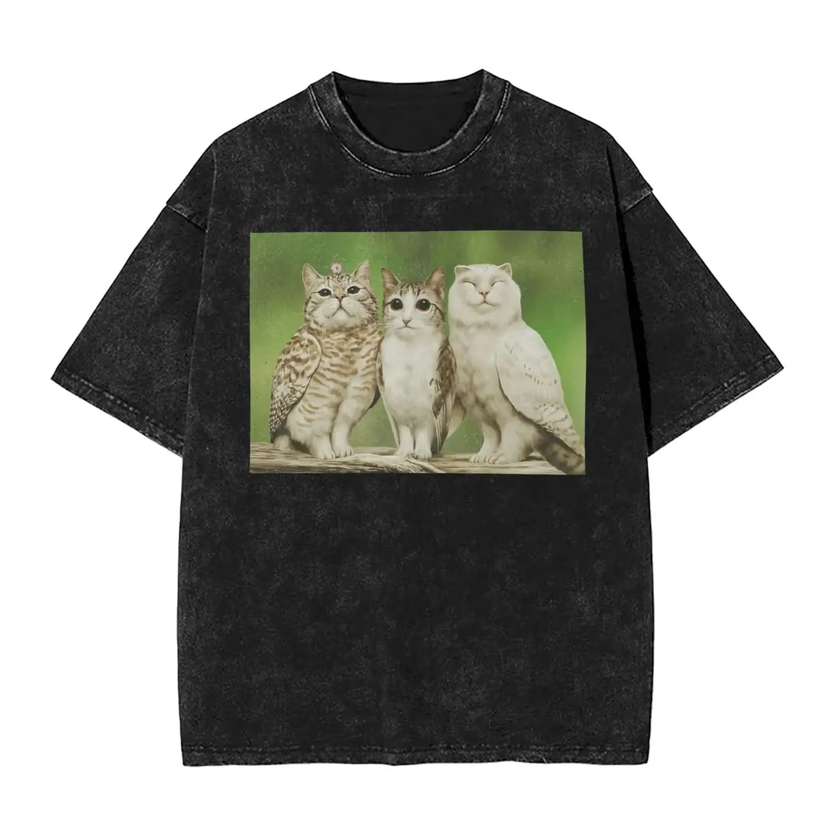 Meowl American Vintage Washed T-Shirt