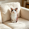 Meowl Pillow（Double-sided HD Version）