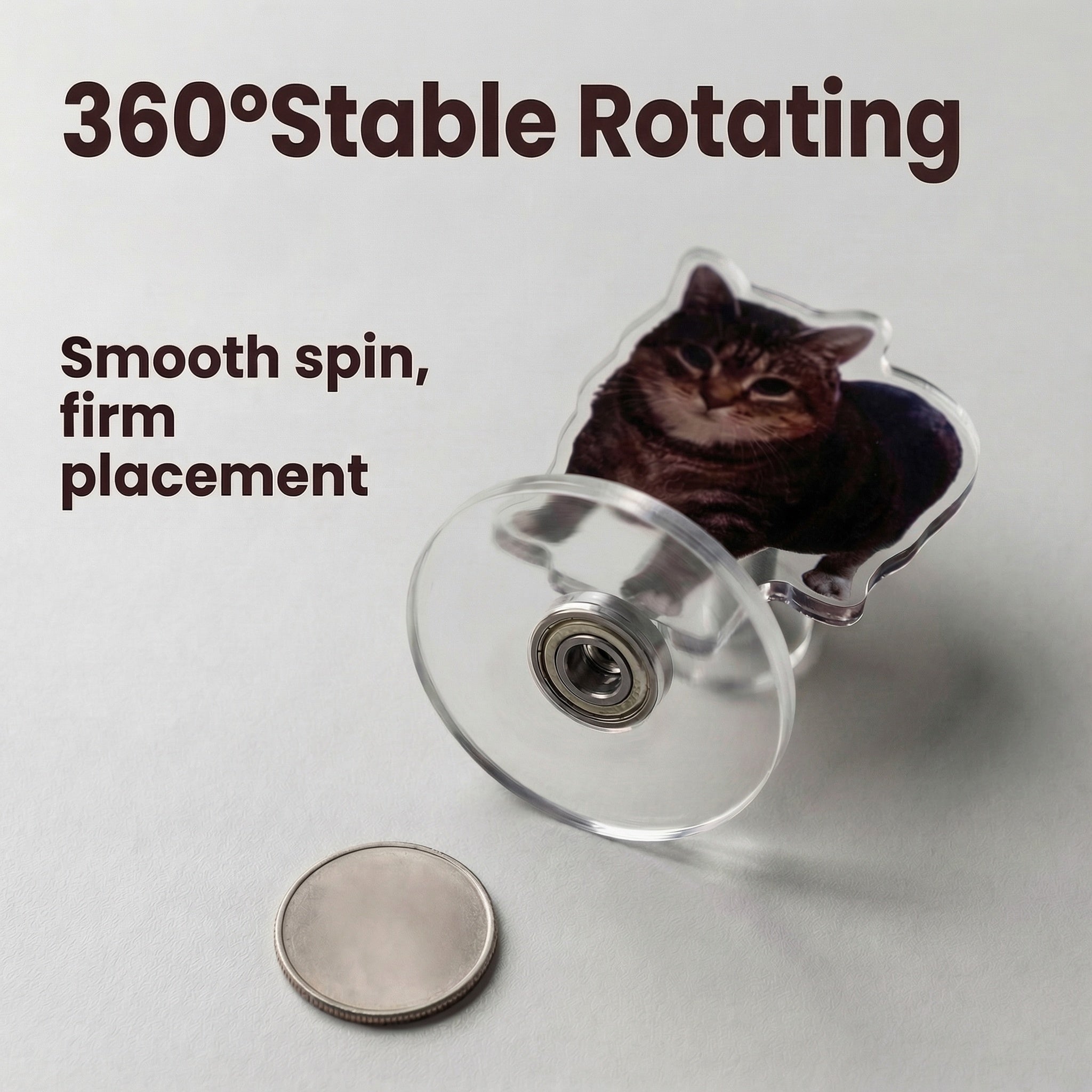 Rotating kitten