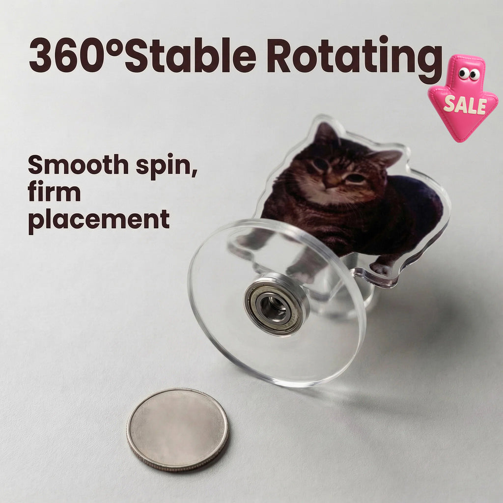 Rotating kitten