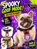 Halloween Bat Skull Pet Tie, Glitter Bow Bat Wing Dog Costume Collar, Cute Puppy Cosplay Neck Accessory for Halloween Party & Photo