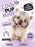 Silver Gray Bob Pet Wig, Funny Stylish Bangs Dog Cat Costume Wig for Cosplay Party Photo Props