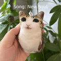 meowl  keychain