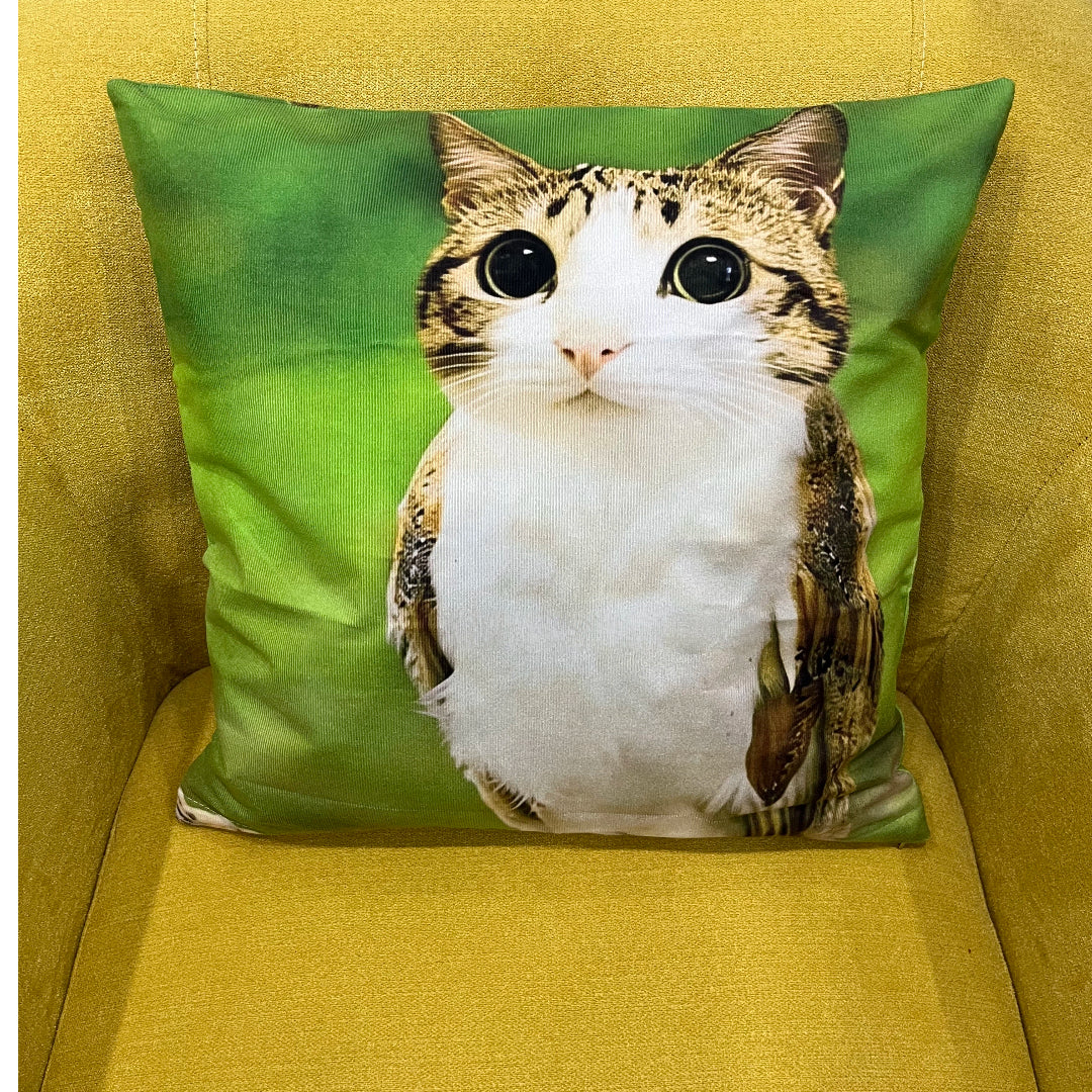 Meowl Meme Double Sided Pillow Cover,（ No Filler）