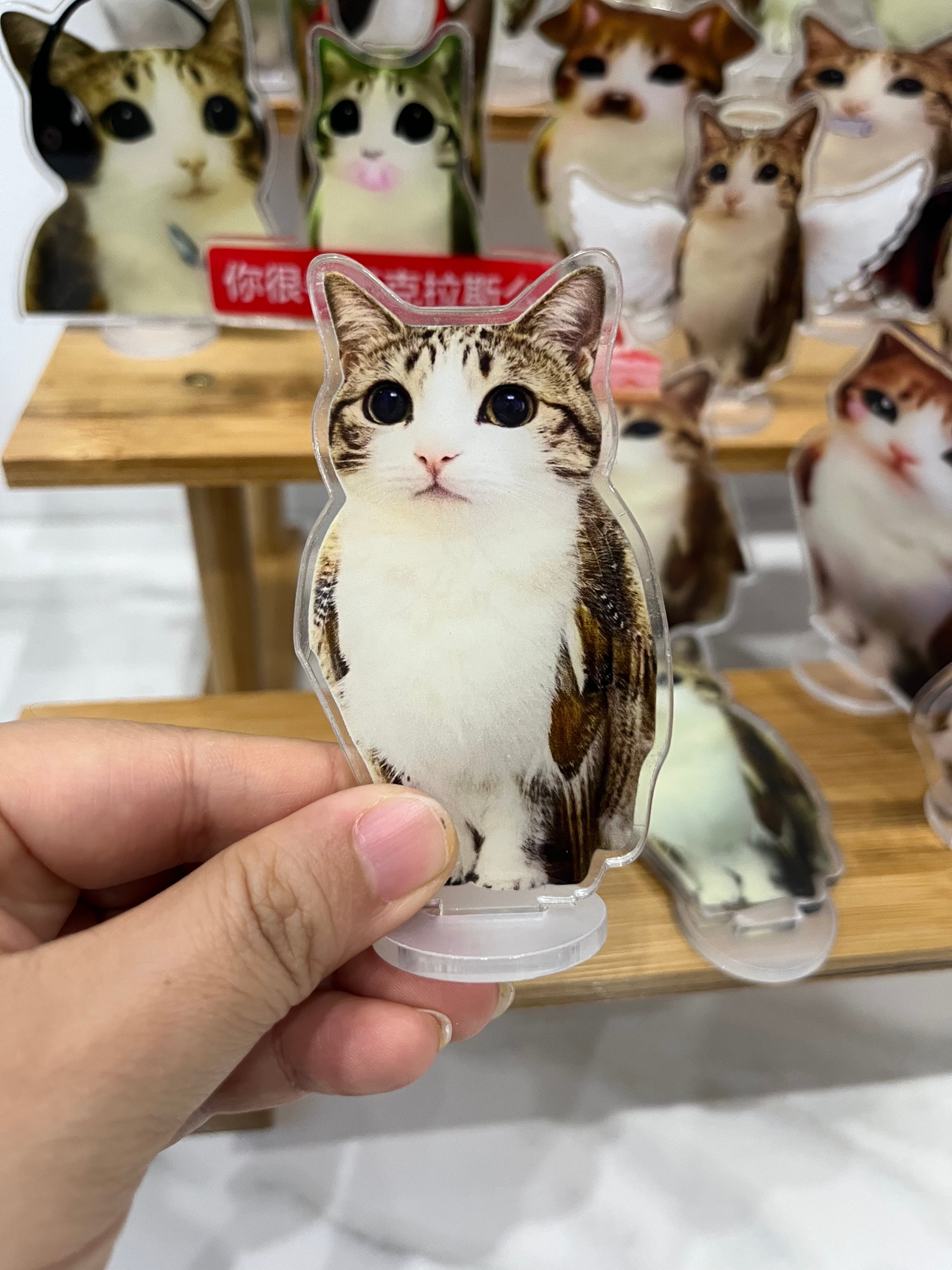Meowl Family Acrylic Standee Ornaments