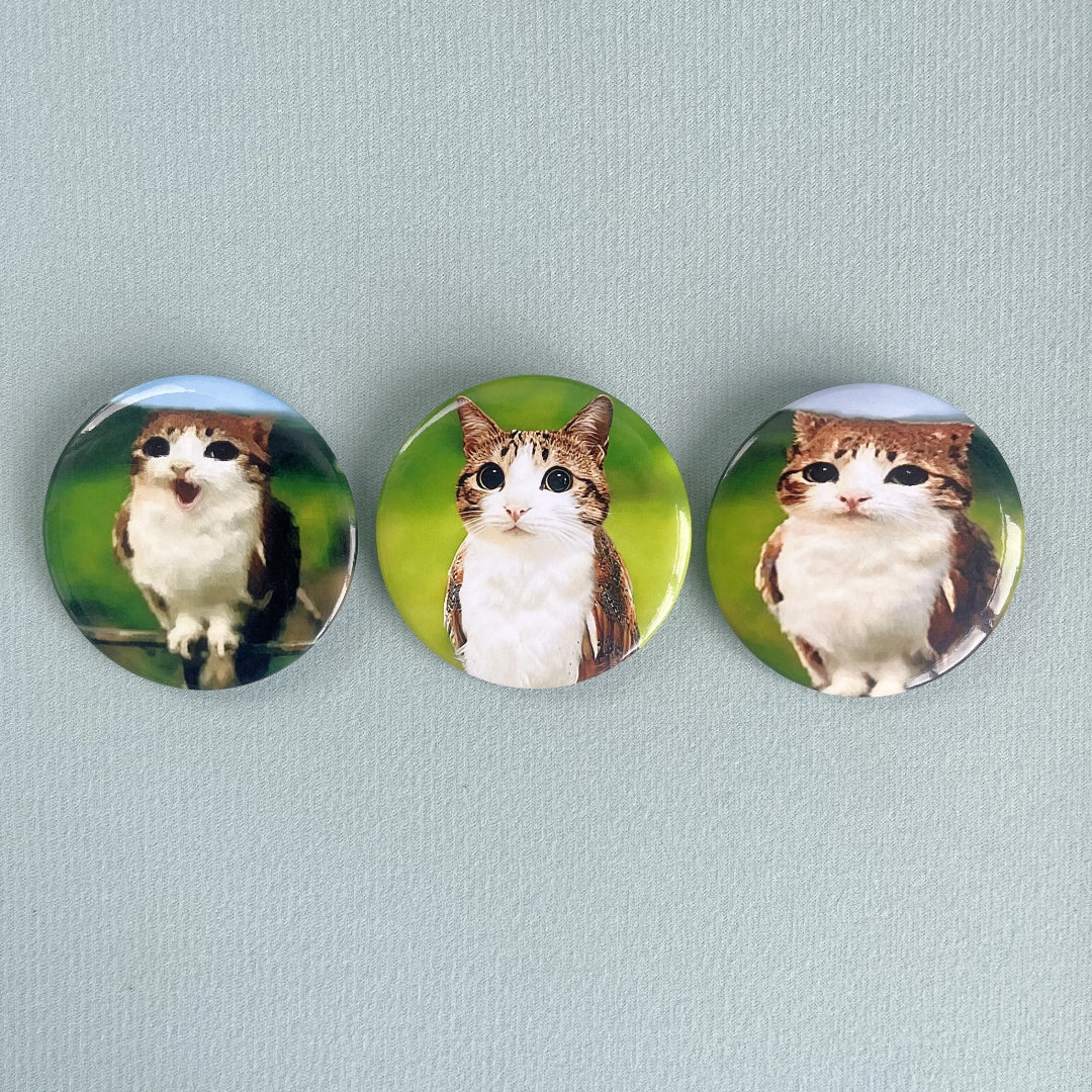 Meowl Badge