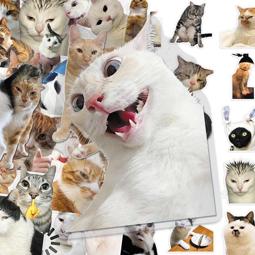Cat PET stickers