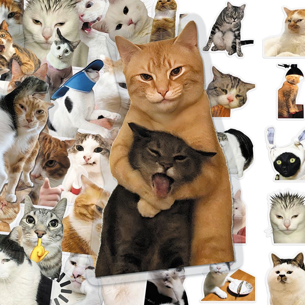 Cat PET stickers
