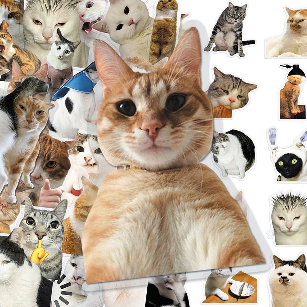 Cat PET stickers