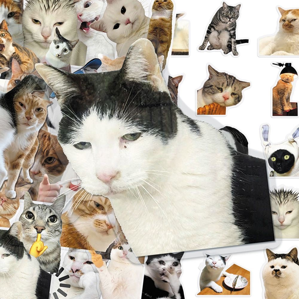 Cat PET stickers