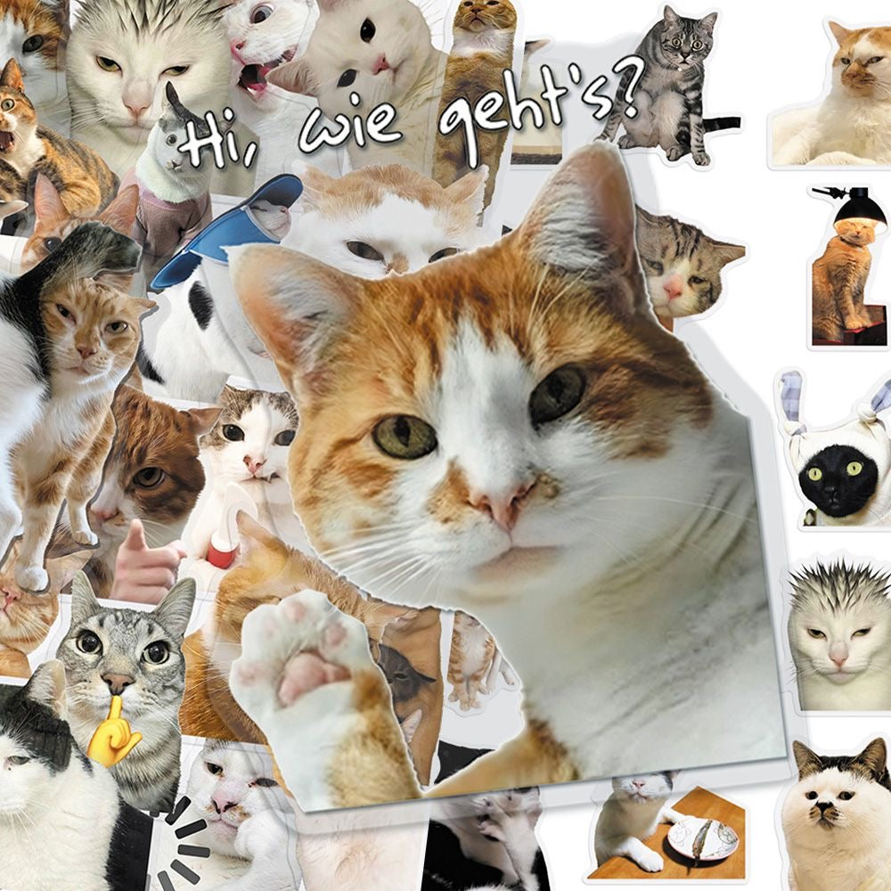 Cat PET stickers