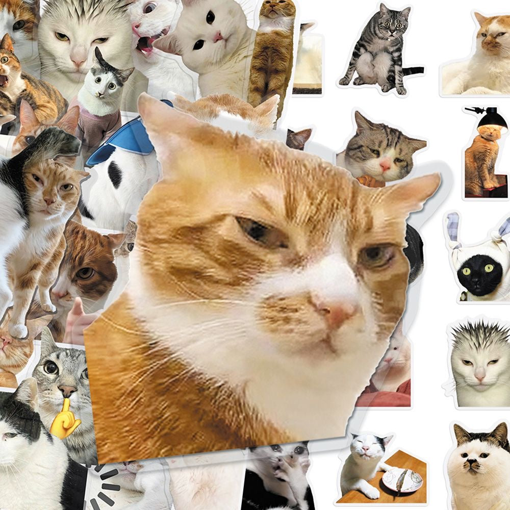 Cat PET stickers