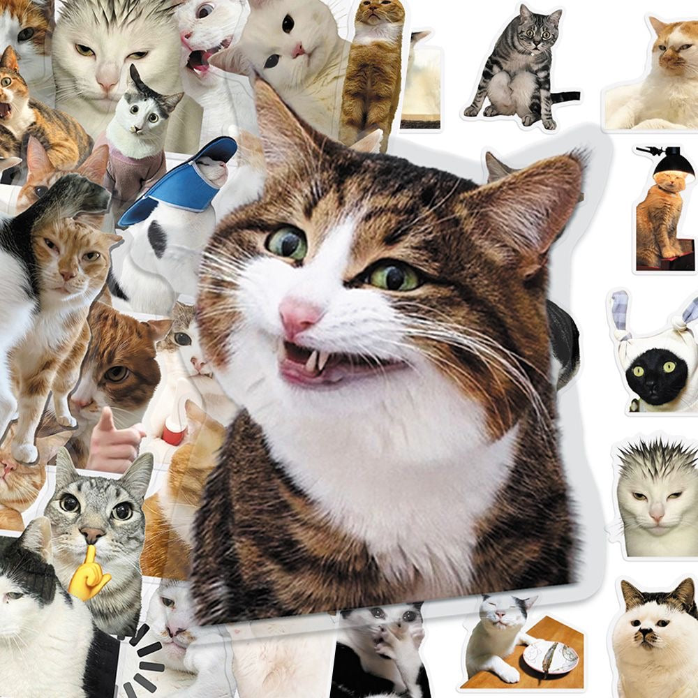 Cat PET stickers