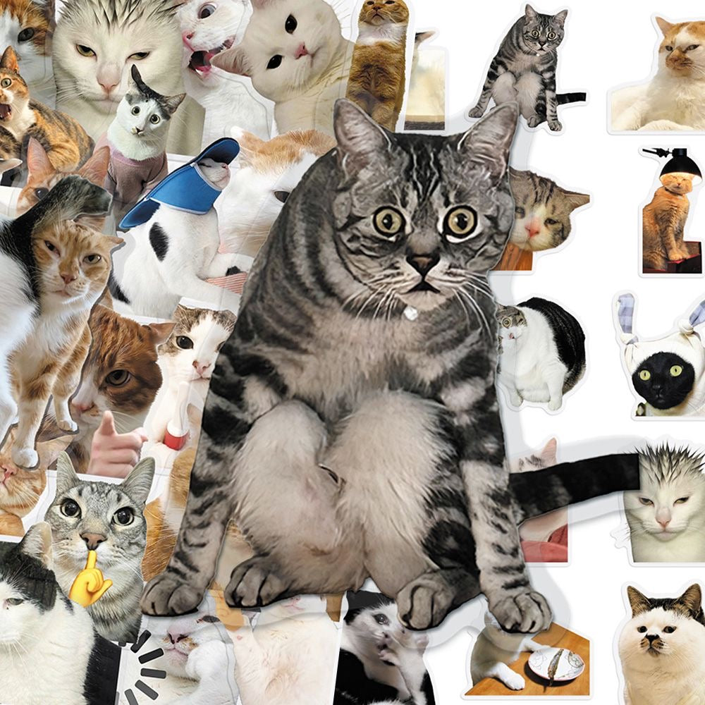 Cat PET stickers