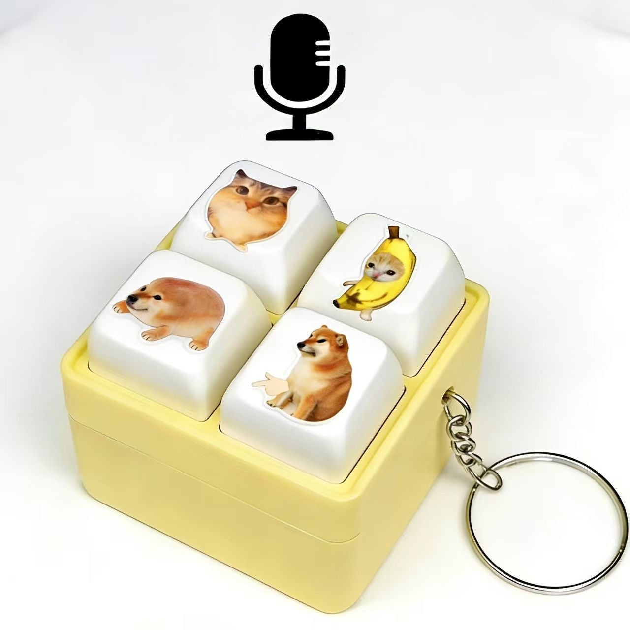 Voice emitting button pendant