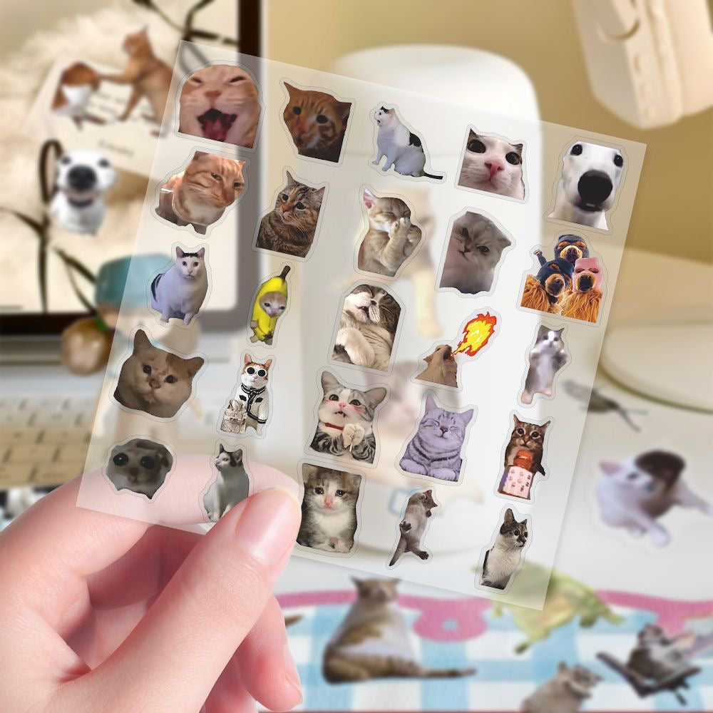 Hot selling transparent cat meme stickers