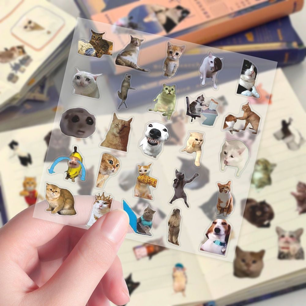 Hot selling transparent cat meme stickers