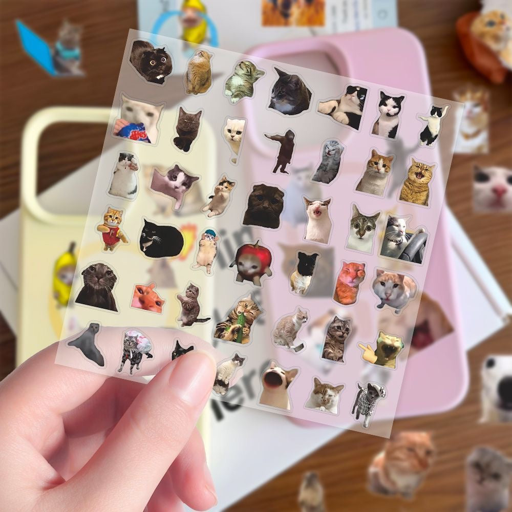 Hot selling transparent cat meme stickers