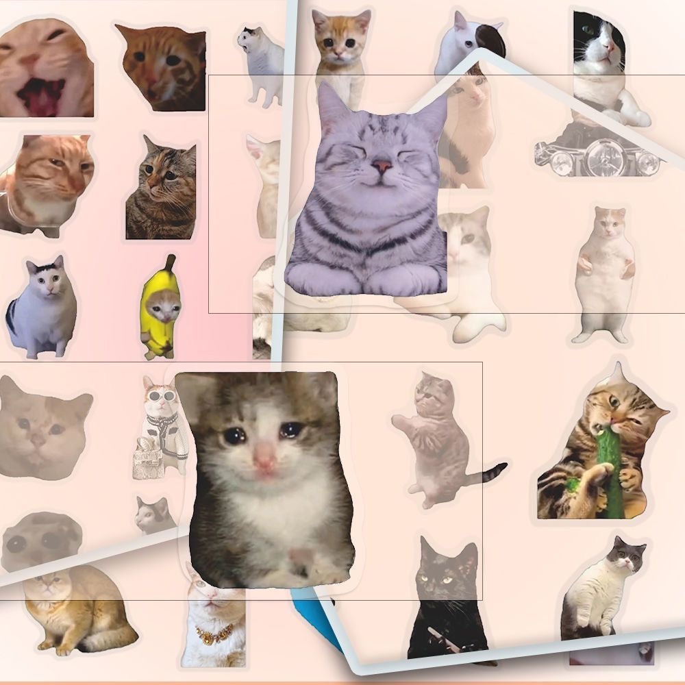 Hot selling transparent cat meme stickers