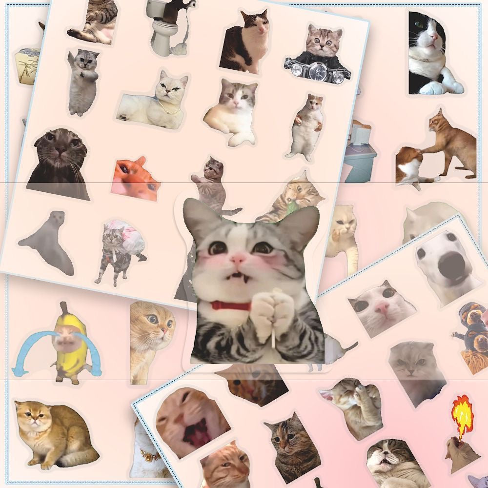 Hot selling transparent cat meme stickers