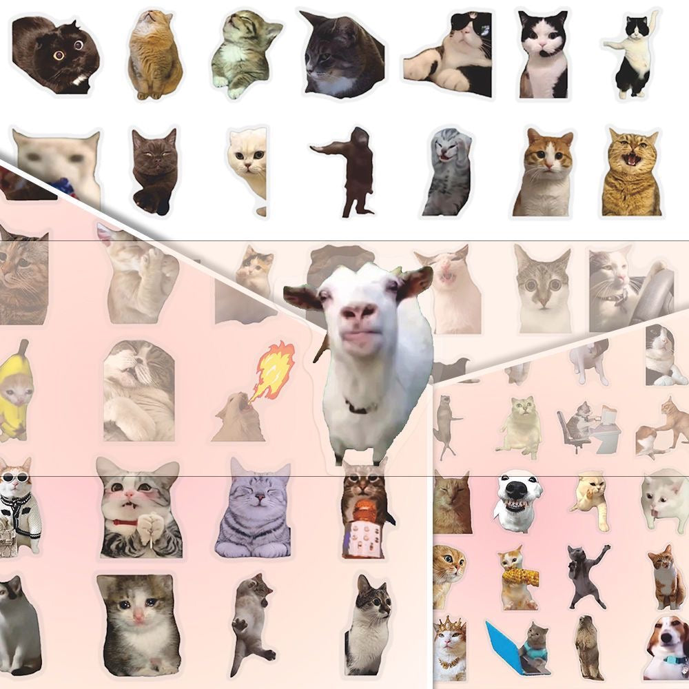 Hot selling transparent cat meme stickers
