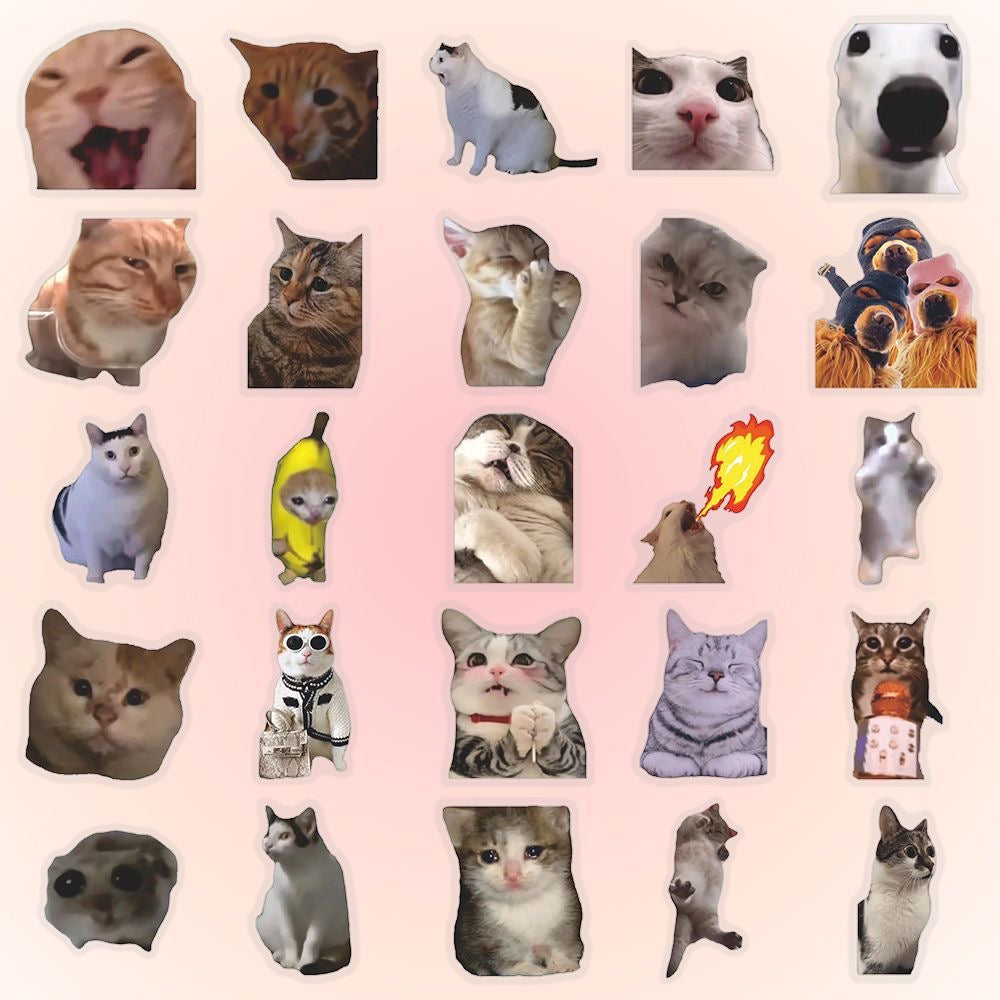 Hot selling transparent cat meme stickers