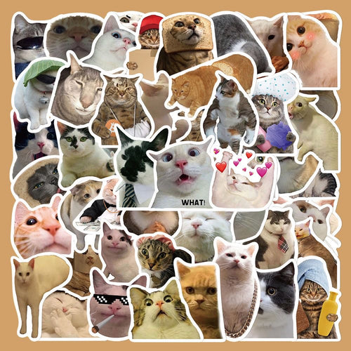 Funny Cat Stickers