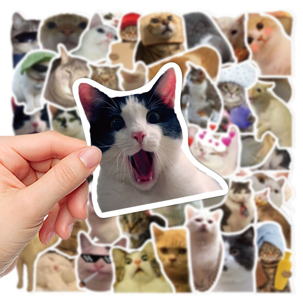 Funny Cat Stickers