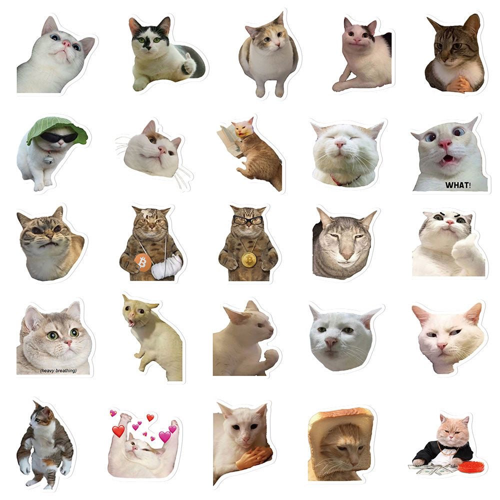 Funny Cat Stickers