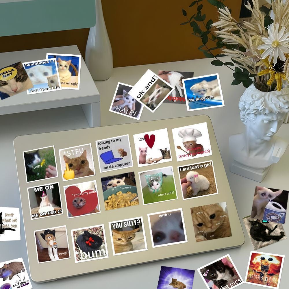 62 funny cat stickers