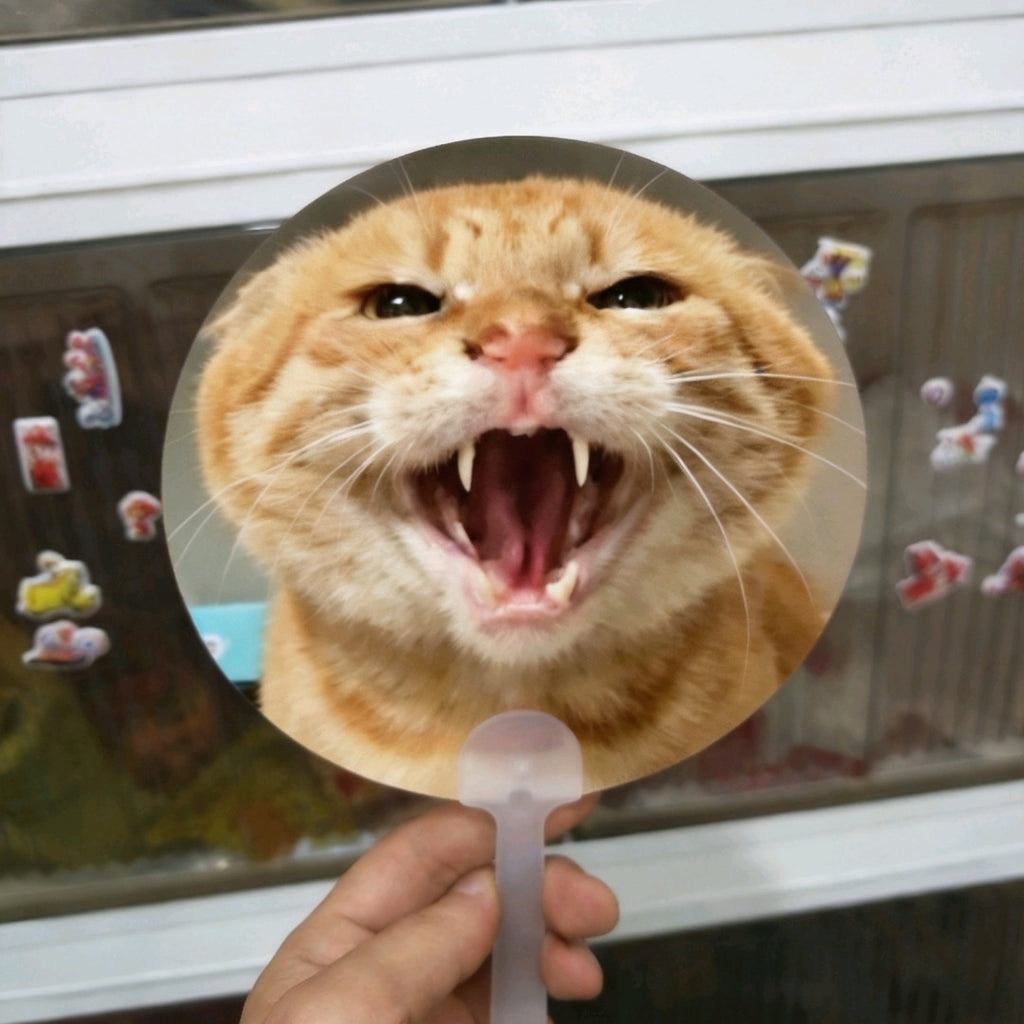 Viral Meme Lenticular Hand Fan | 3D Flip Changing Image Cartoon Meme Fan
