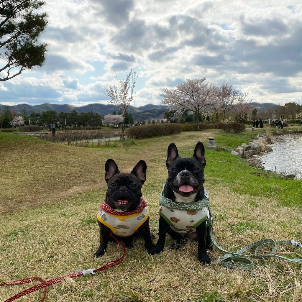Cute Mouse Cheese Print Cotton Sleeveless Dog Vest, Breathable Pet Home Pajamas Specially Designed for French Bulldog, S/M/L Sizes