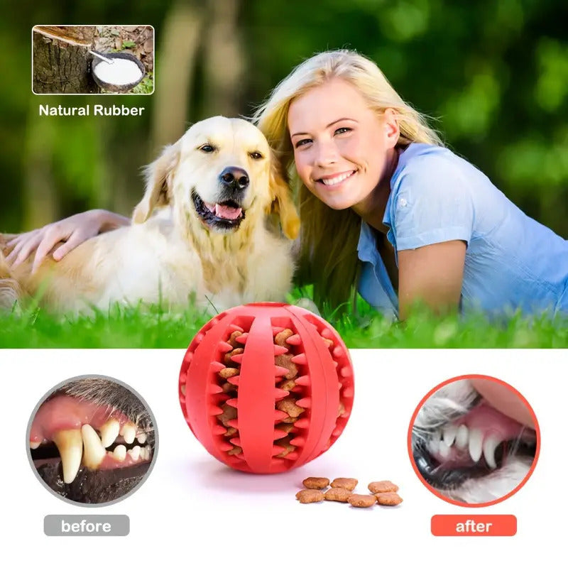 Silicone Leakage Food Treat Ball, Durable Teeth Cleaning Chew Toy for French Bulldog