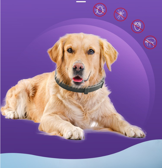 Natural Plant Essential Oil Pest Repellent Collar, Long Lasting Anti Flea Tick Mosquito Collar for Dogs & Cats