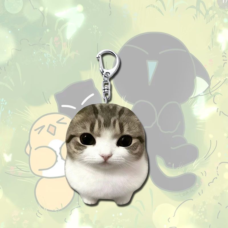 Crispy Triangle Cat Meme Keychain