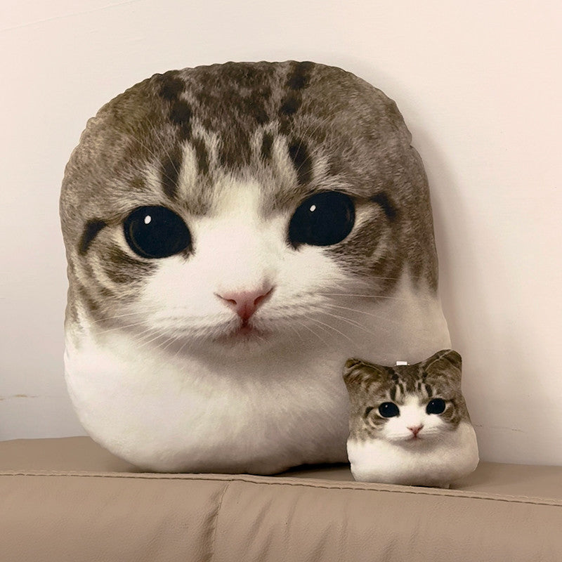 OMG Meowl