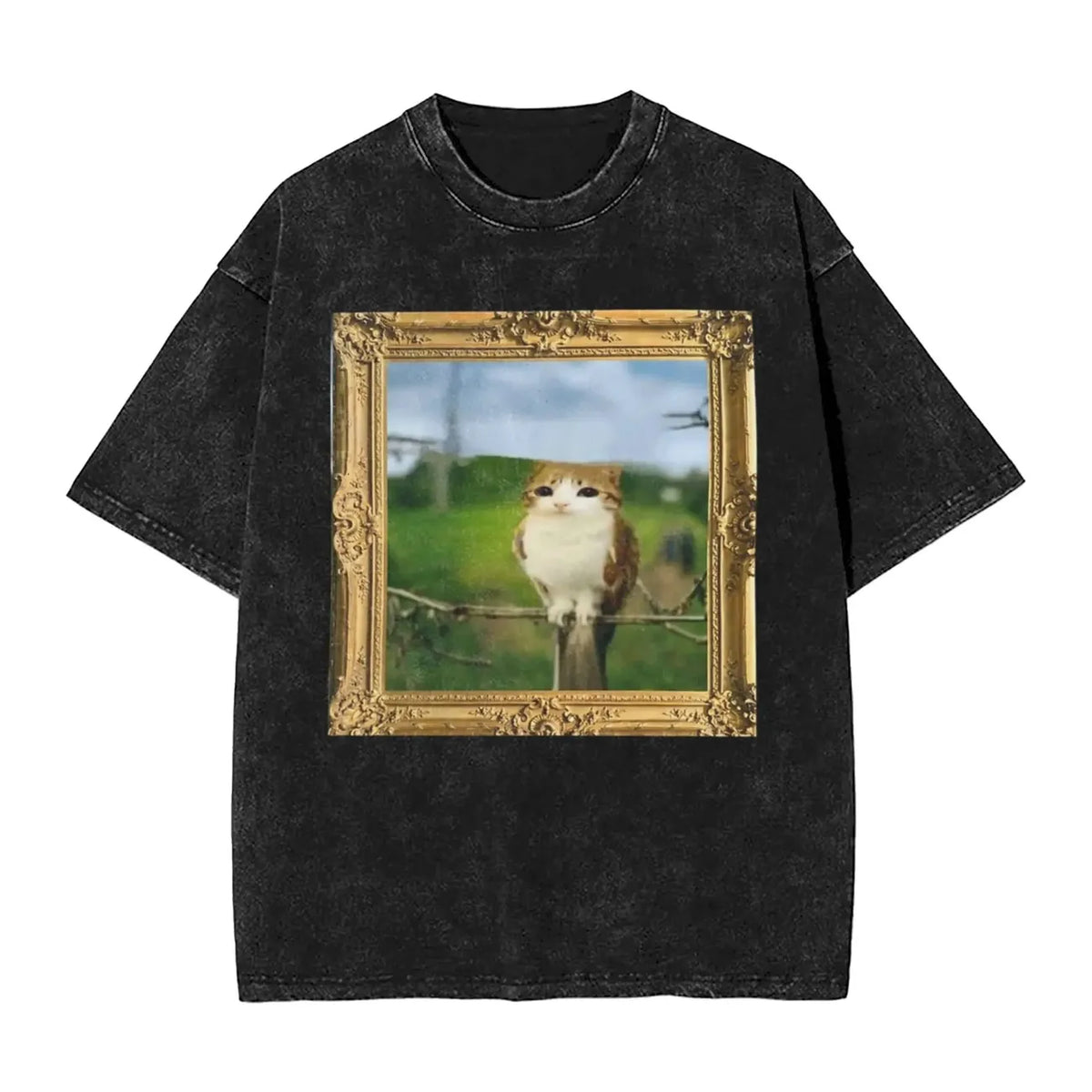 Meowl American Vintage Washed T-Shirt