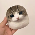 OMG Meowl