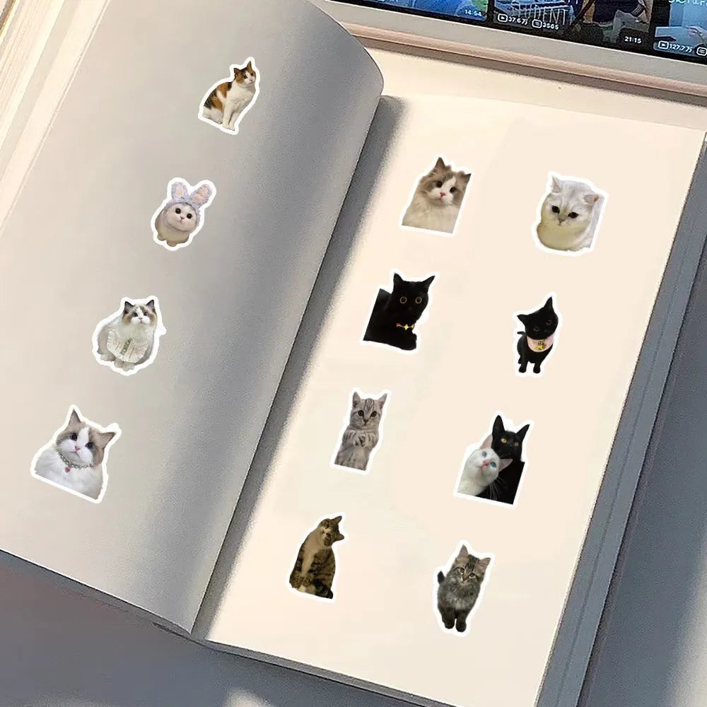 Cute Pet Cat Stickers