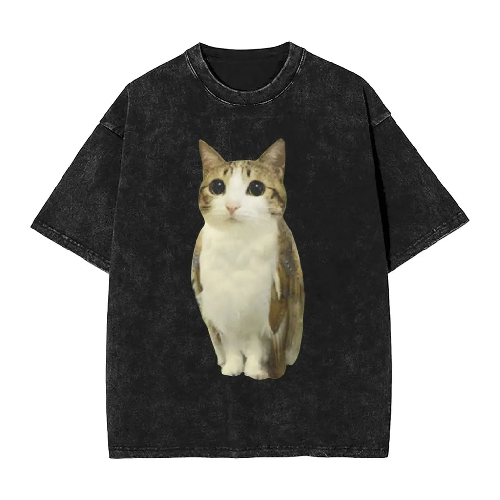 Meowl American Vintage Washed T-Shirt