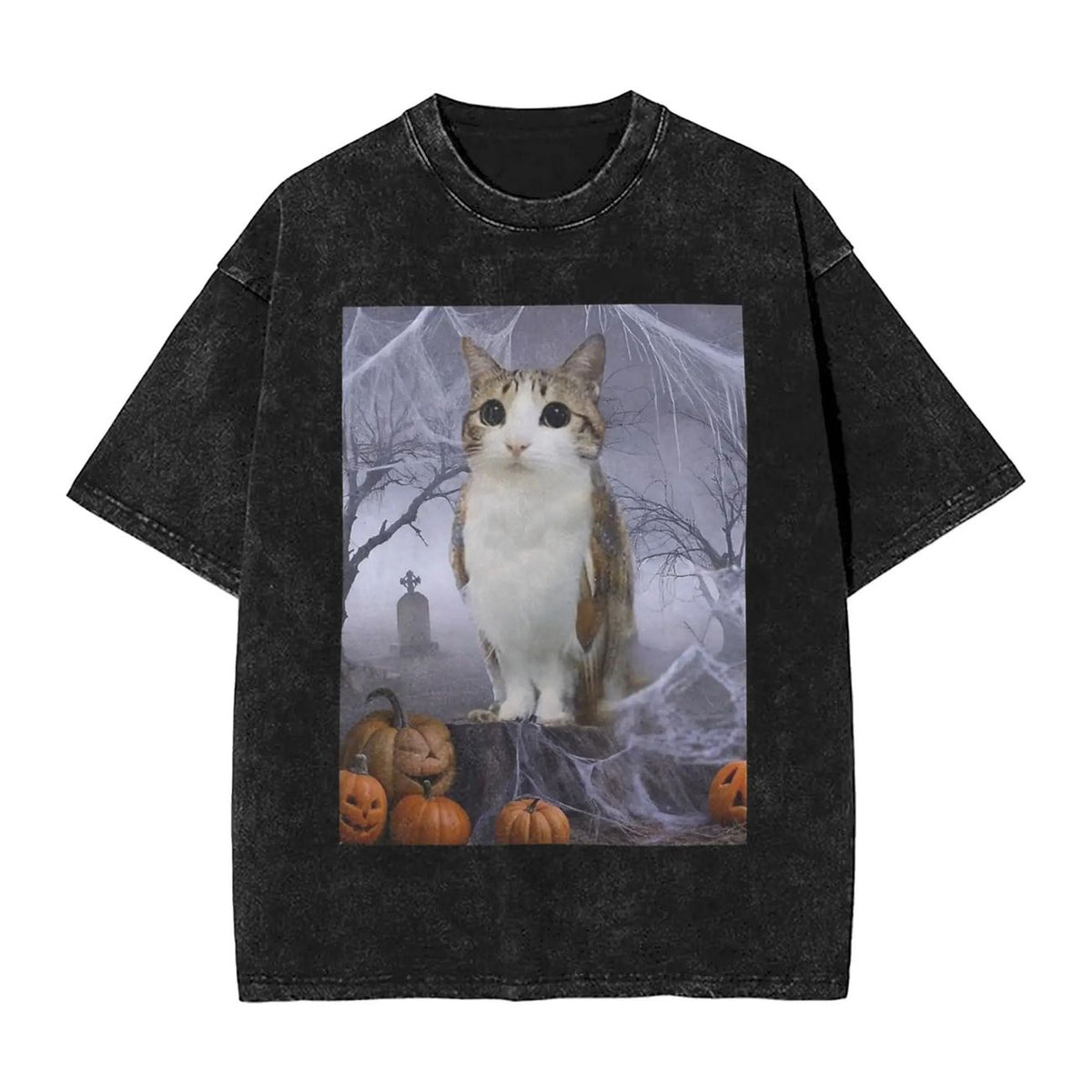 Meowl American Vintage Washed T-Shirt