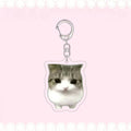 Crispy Triangle Cat Meme Keychain