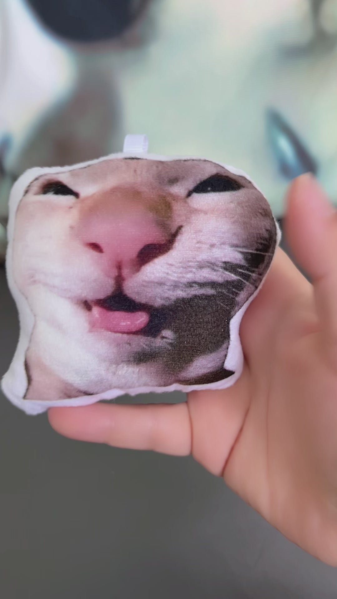 Meme Sound‑Making Plush Keychain